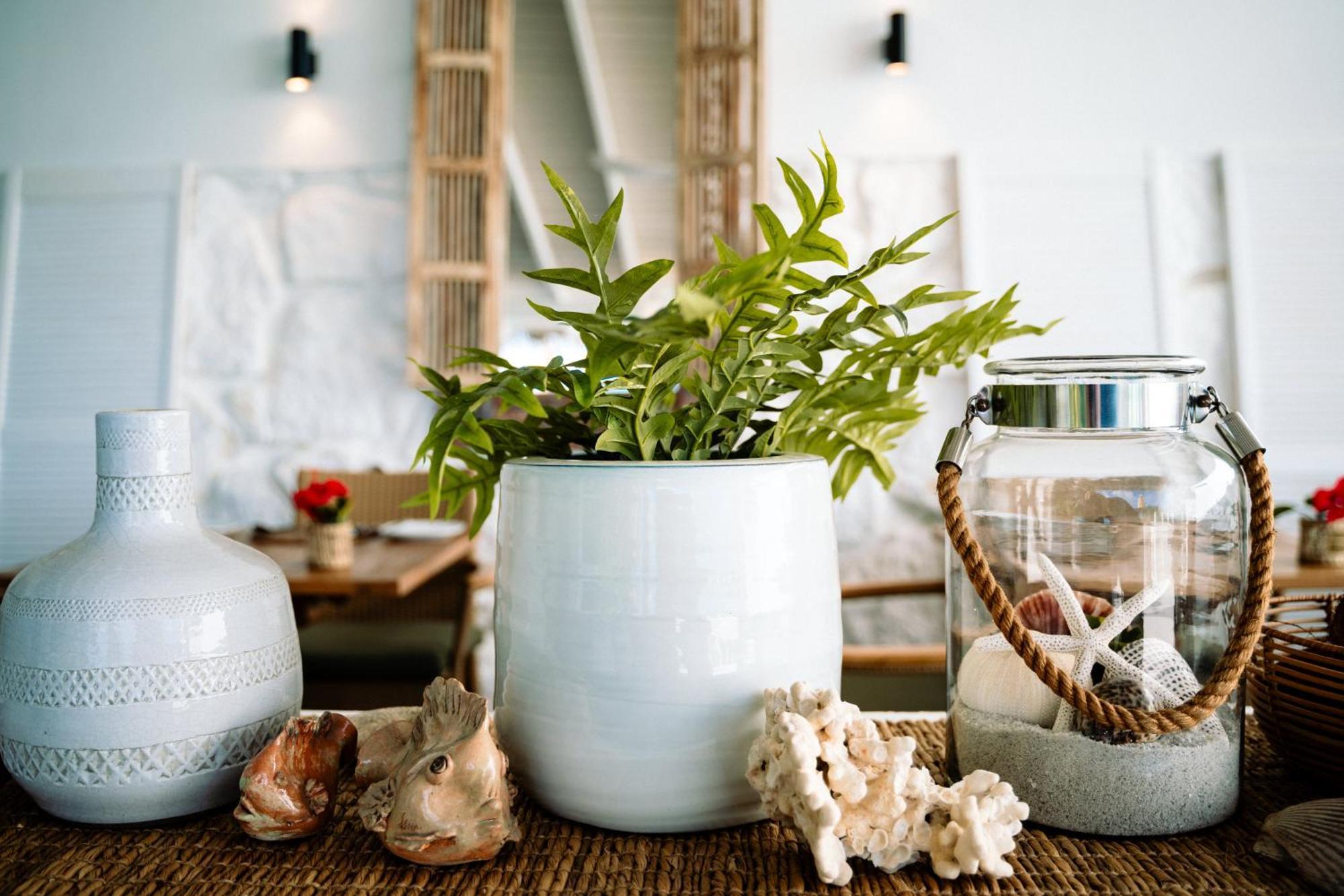The Bay Seychelles Boutique Hotel And Apartments Anse a La Mouche Ngoại thất bức ảnh